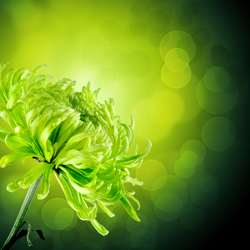 Природа