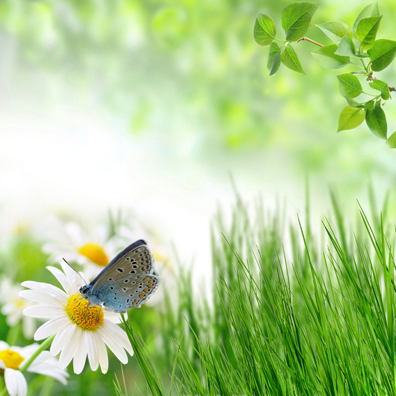 Природа