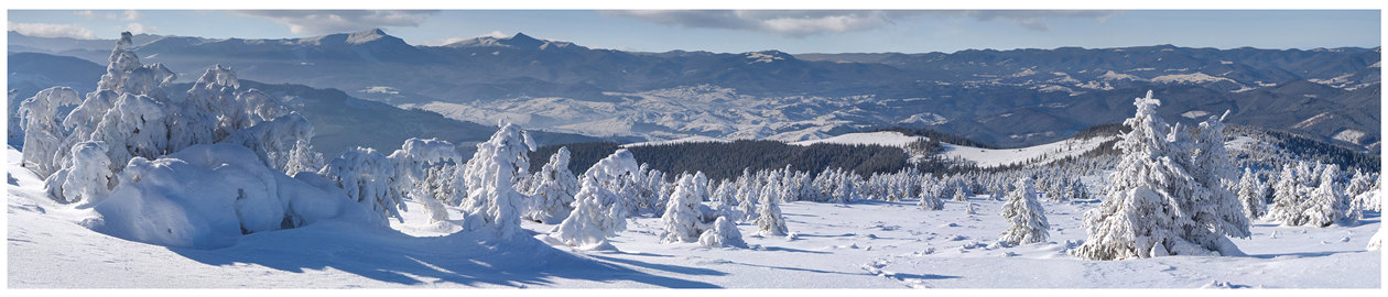 Панормама