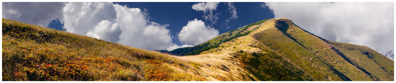 Панормама