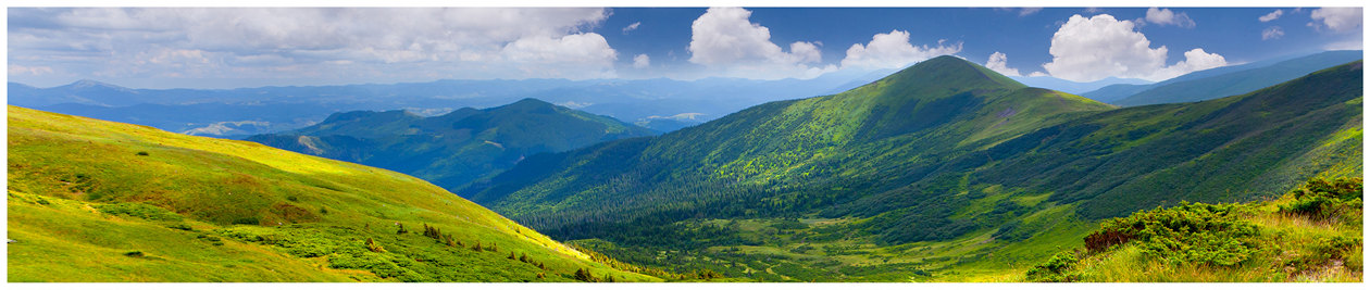 Панормама
